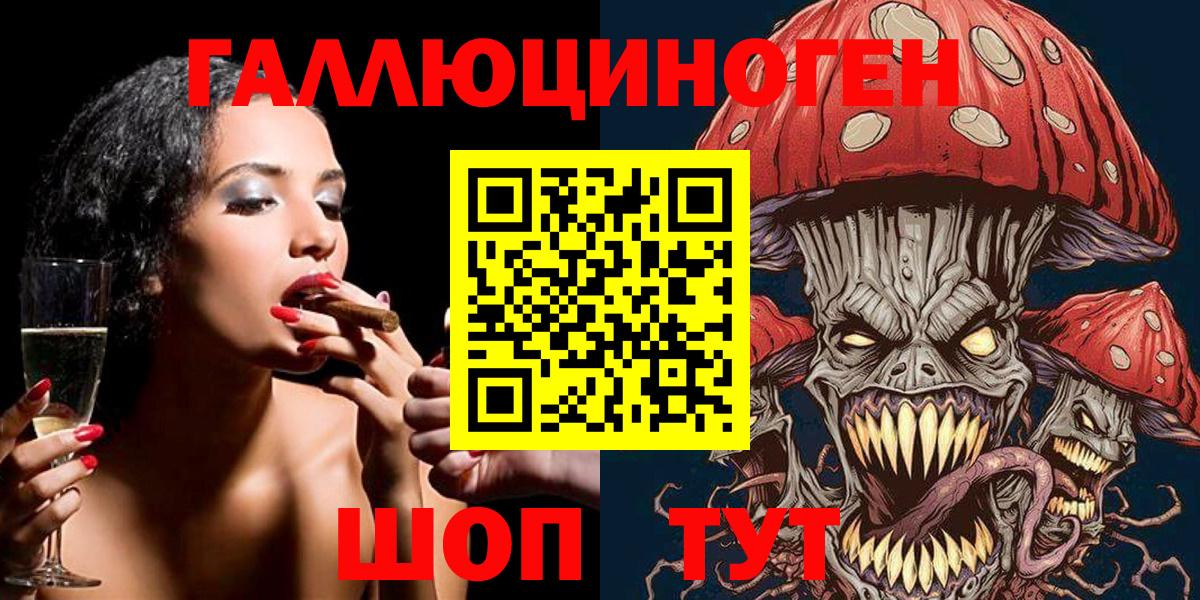 Галлюциногенные грибы Psilocybine cubensis Надым